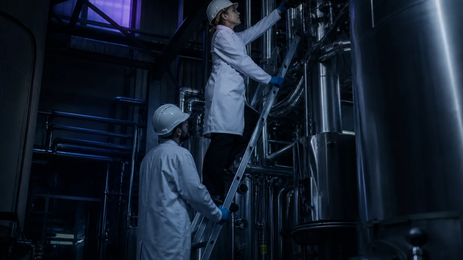 Two technicians at a fixed ladder, one climbing towards an instrument and one footing the ladder